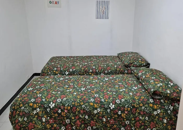 Casa Caterina アパート アラッシオ